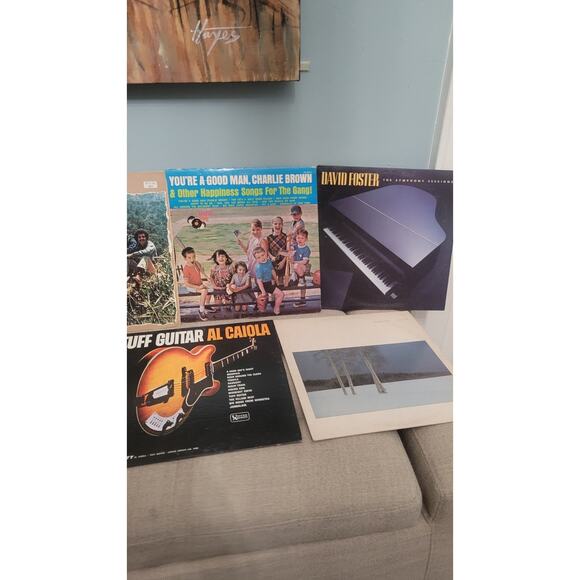 Lot of 11 Vintage Vinyl Records LPs – Peter Cetera, David Foster, Charlie Brown, - Picture 4 of 4